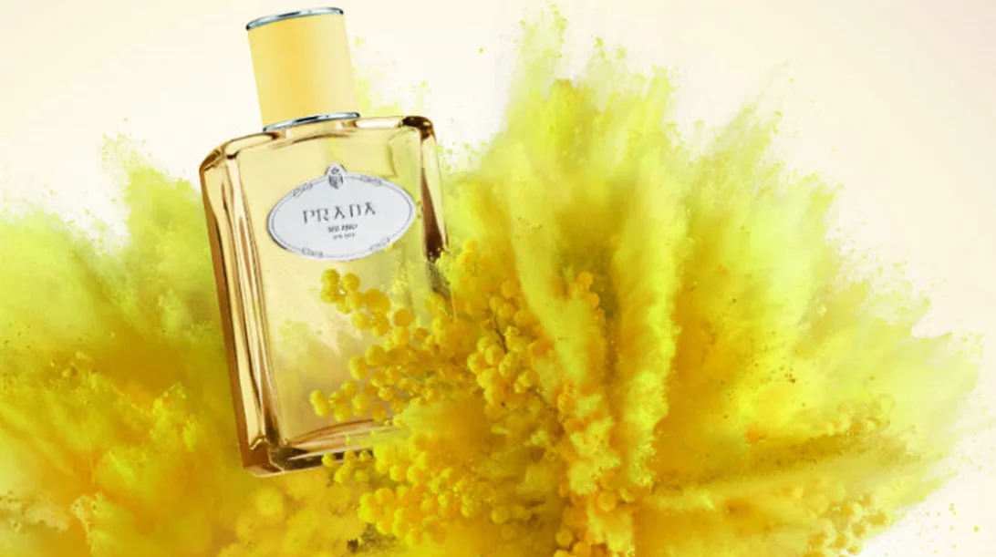 Φάκελος Άρωμα: 5 νέες, υπέροχες αφίξεις ξεμυαλίζουν